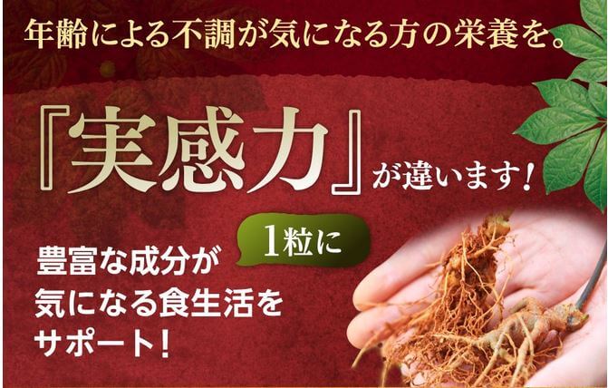 白井田七の実感力